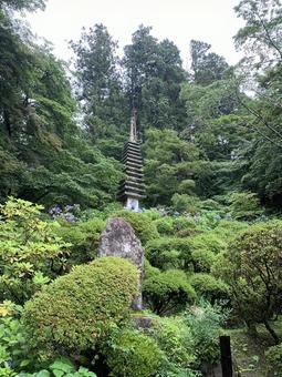 緑の中の石塔 緑の中の石塔 岡寺,緑,雨上がりの写真素材
