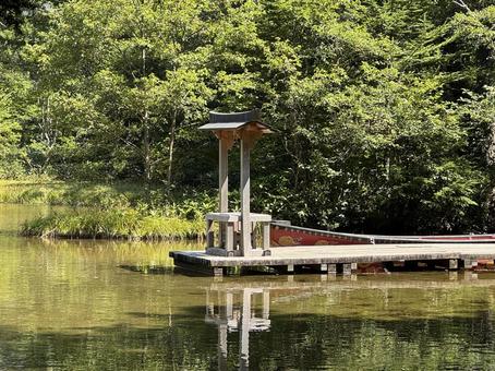 明神池 明神池,上高地,自然の写真素材