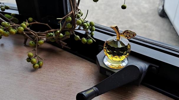 硝子のりんご 硝子のりんご ツルウメモドキ,飾り,秋にはの写真素材