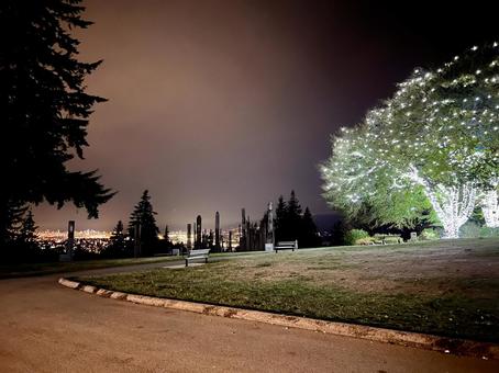 カナダ　バーナビーマウンテンパークの夜景 夜空,景観,トーテムポールの写真素材