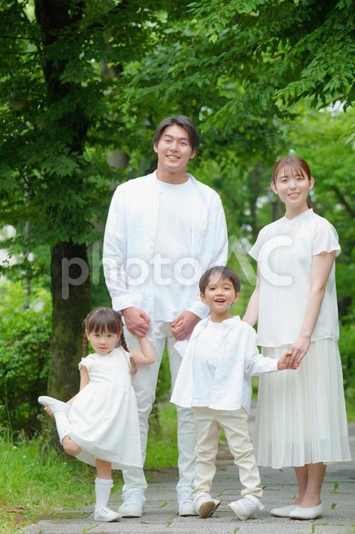 仲良く手を繋ぐ家族4人 親子,手を繋ぐ,家族の写真素材