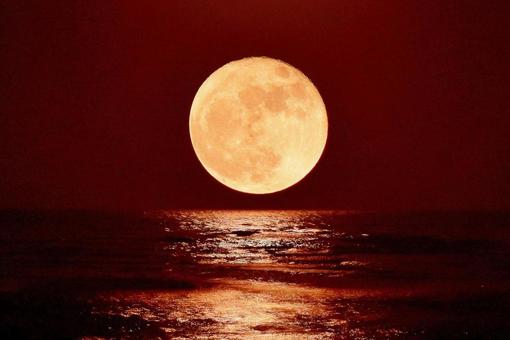 昇る月 昇る月の写真