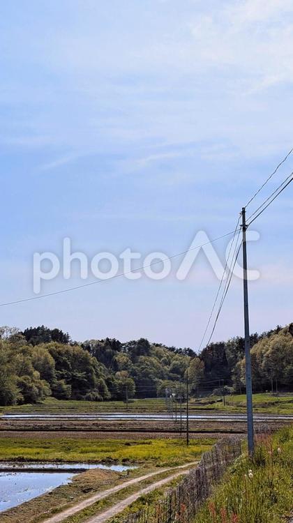 田園風景 田園,風景,田畑の写真素材