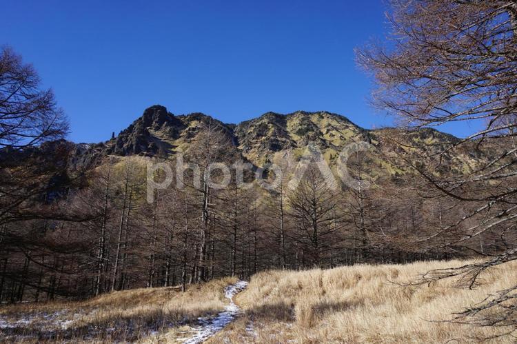 浅間山　湯の平から草すべり方面を臨む 浅間山,百名山,シェルターの写真素材