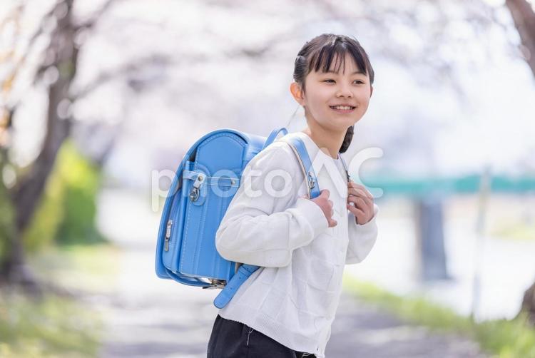 ランドセルを背負って微笑む女の子　 桜,小学生,ランドセルの写真素材