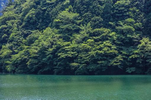 猿谷ダム 猿谷ダム,緑,奈良県の写真素材