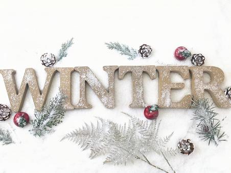 冬イメージ（冬到来）WINTERりんご 冬,冬到来,雪の写真素材