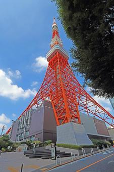 東京タワー(港) 東京タワー(港)の写真