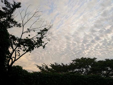 夕空 夕空の写真