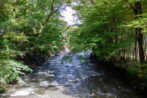 修善寺の風景⑻ 修善寺の風景⑻の写真