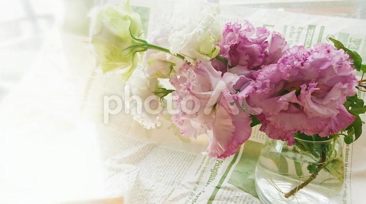 爽やかな花のある風景 花束,爽やか,花の写真素材