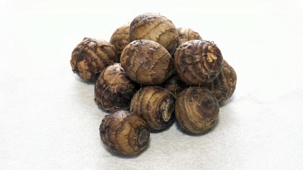 白い背景に置かれた里芋の物撮り 白い背景に置かれた里芋の物撮りの写真