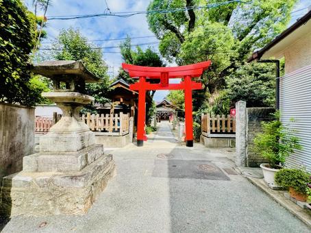 宇賀神社 宇賀神社 宇賀神社,黒田稲荷,神社の写真素材