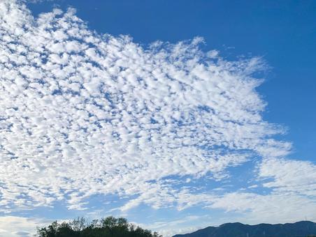 青空にひつじ雲2 ひつじ雲,高積雲,青空の写真素材