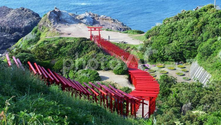 元乃隅稲成神社　全景 元乃隅稲成神社,長門市,山陰の写真素材