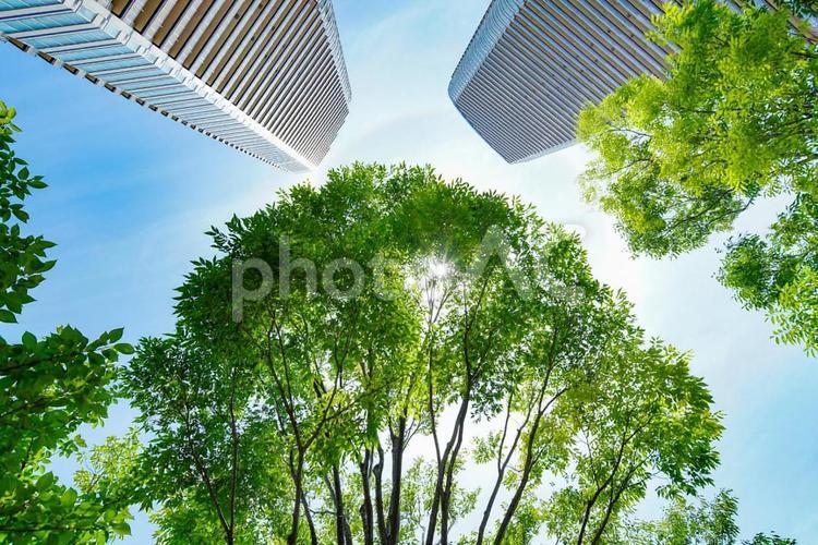新緑と青空とマンション マンション,春,夏の写真素材