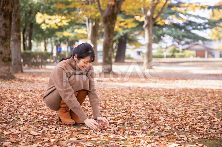 秋の公園の落ち葉で遊ぶ女性 秋,紅葉,女性の写真素材