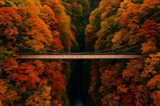 紅葉峡の吊り橋の写真