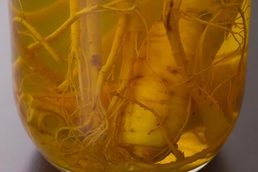 高麗人参を漬け込んだ薬用酒の瓶 薬膳,漢方,和漢の写真素材