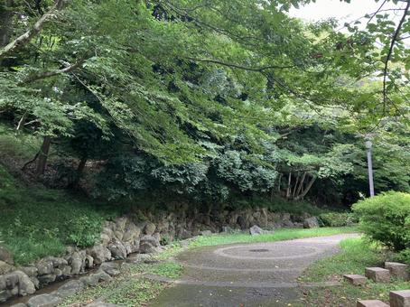 夏の小道 夏の小道の写真