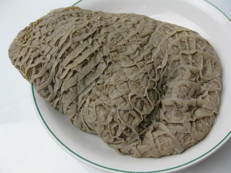 ハチノス 牛肉 ホルモン ハチノス 牛肉 ホルモンの写真