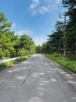 夏の山道の写真