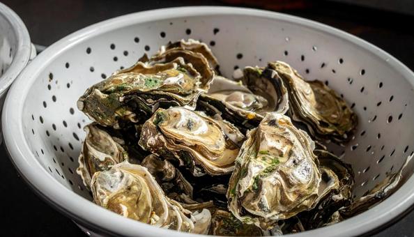 殻付きの牡蠣の写真