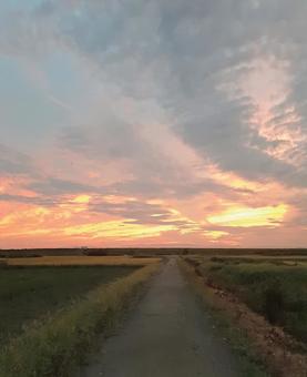 続く道と夕焼け空 続く道と夕焼け空 田んぼ道,田園,ロードの写真素材