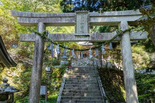 奈良 玉置神社 本殿と鳥居 奈良 玉置神社 本殿と鳥居 玉置神社,本社,社殿の写真素材