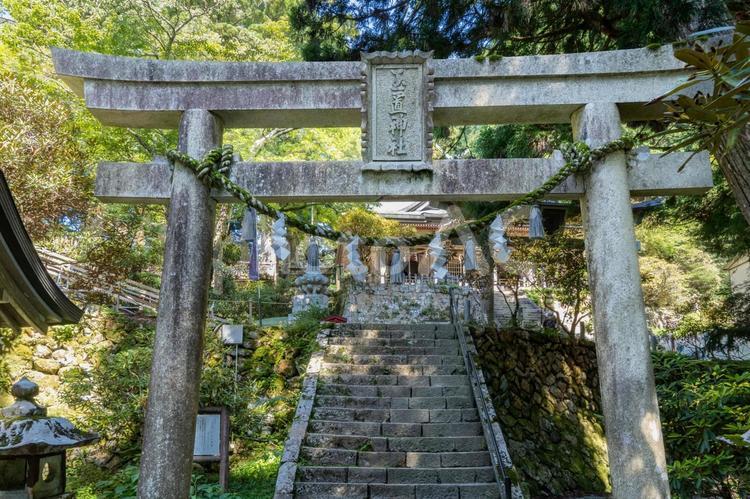 奈良　玉置神社　本殿と鳥居 玉置神社,本社,社殿の写真素材