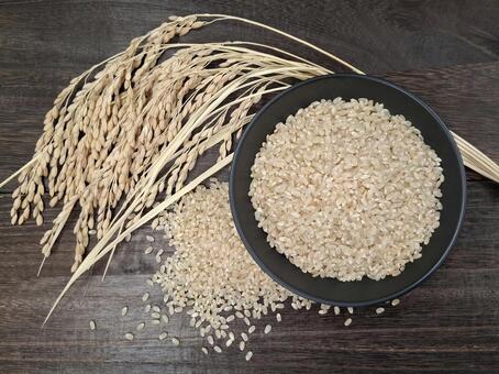 稲穂と玄米_焦茶木目バック_1 秋,秋の味覚,米の写真素材