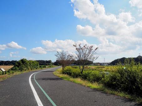 秋の手賀沼湖畔・散歩道&田園風景(柏市) 秋の手賀沼湖畔・散歩道&田園風景(柏市) 秋,手賀沼,湖畔の写真素材