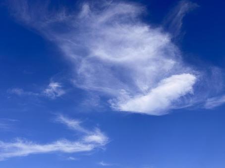 【風景写真】夏空 【風景写真】夏空の写真