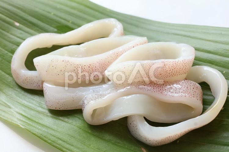 スルメイカ（リング）アップ スルメイカ,イカ,魚介の写真素材