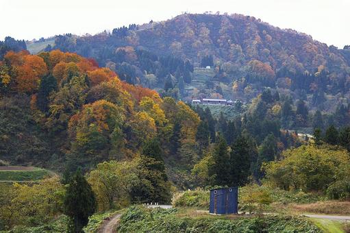 25年　山古志紅葉 山,集落,木の写真素材