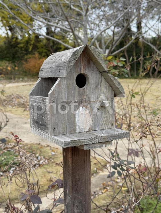 ときわ公園の鳥の巣箱 ときわ公園,山口県,宇部の写真素材