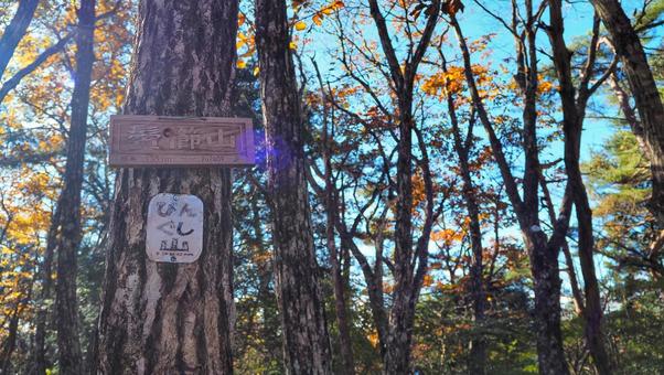 鬢櫛山 紅葉,アウトドア,登山の写真素材