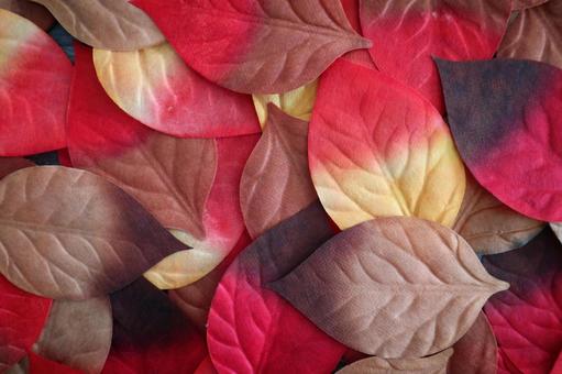 落ち葉のイメージ 落ち葉のイメージの写真