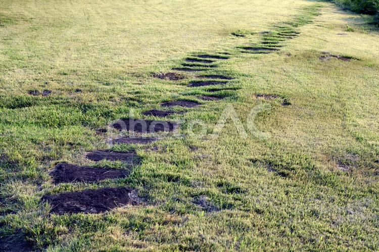 公園の石の小道と芝生 石,道,小道の写真素材