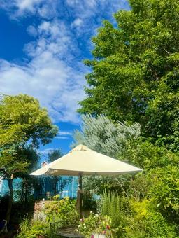 夏の庭園 夏の庭園の写真