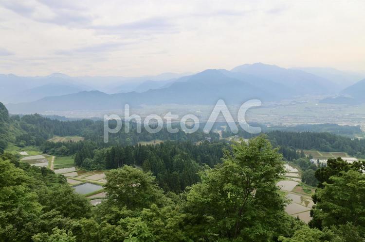 南魚沼の風景（山と水田） 田,田んぼ,水田の写真素材