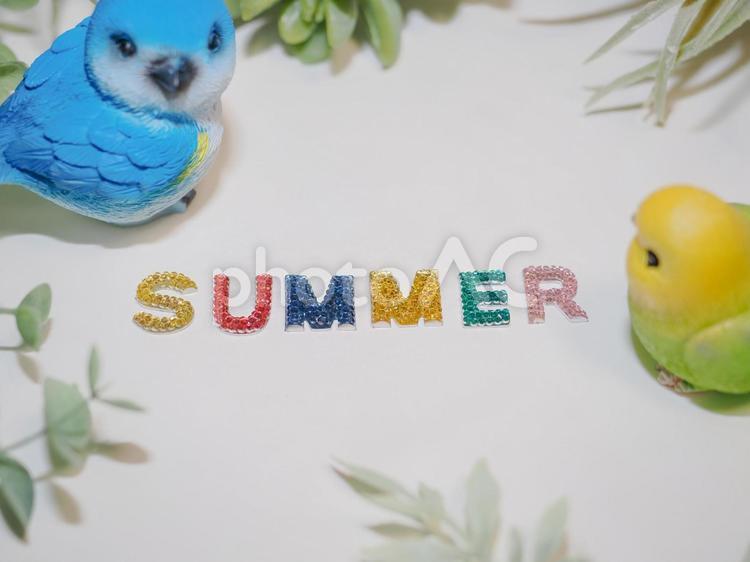 SUMMERの文字を装飾した写真素材 summer,夏,文字の写真素材