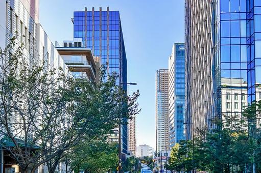 沢山のビルが建ち並ぶ緑の多い街の光景 街並み,高層ビル,街の写真素材