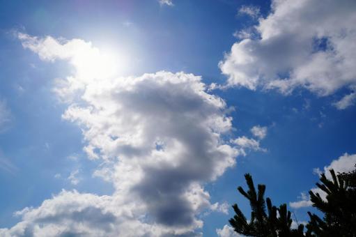 太陽の日差し 太陽の日差しの写真