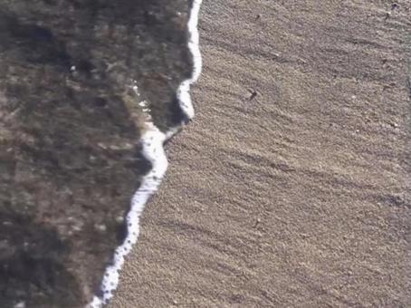 海 海の写真