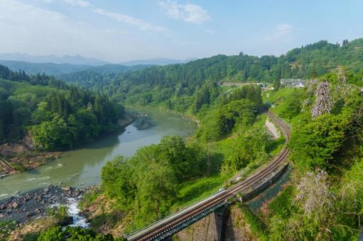 250521長野県栄村飯山線と山藤 長野県,下水内郡,栄村の写真素材