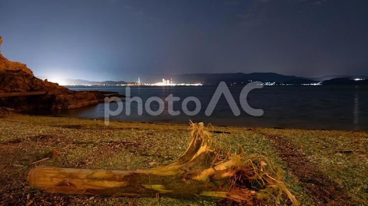 静寂の海に眠る流木 流木,海,夜の写真素材