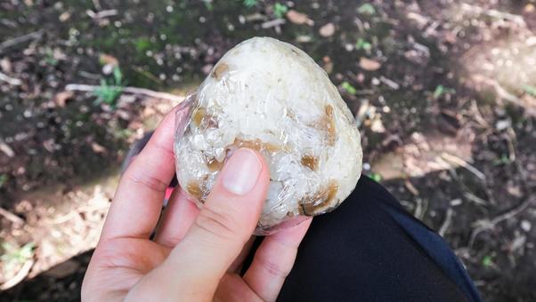 炊き込みおにぎりを手に持つ 炊き込みおにぎりを手に持つ おにぎり,食べ物,風景の写真素材