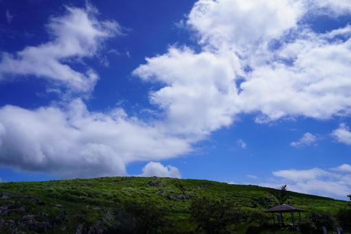 北九州 平尾台の風景 北九州 平尾台の風景の写真