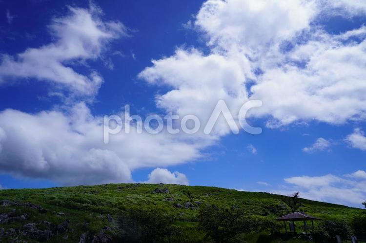 北九州　平尾台の風景 自然,平尾台,風景の写真素材